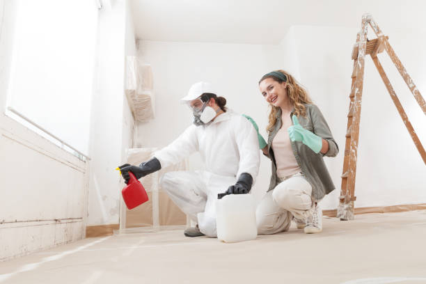 Mold Removal for HVAC Installations in Chesterbrook, PA